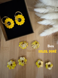 Box Soleil Doré – Édition Limitée