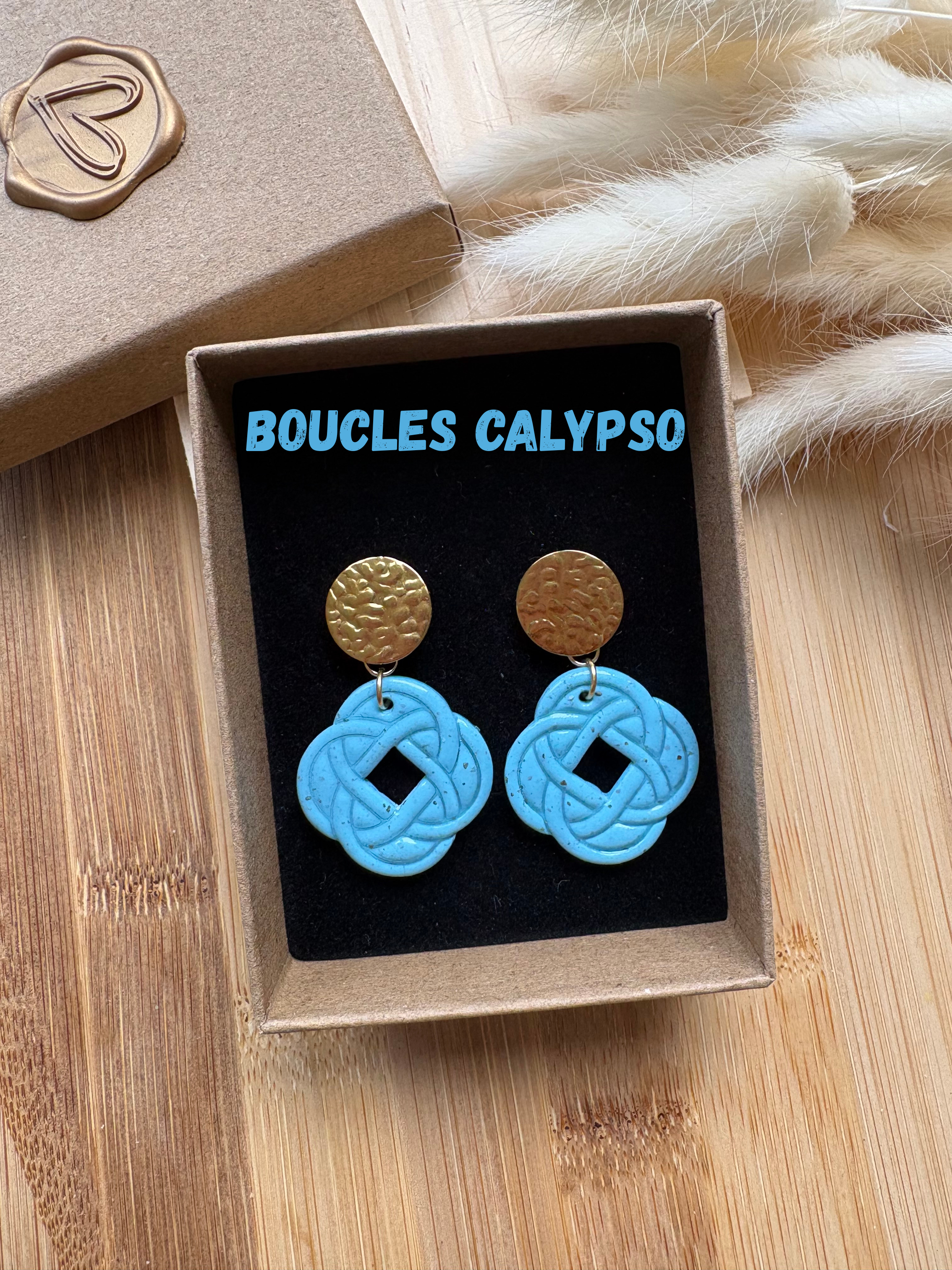 Boucles d'Oreilles Calypso